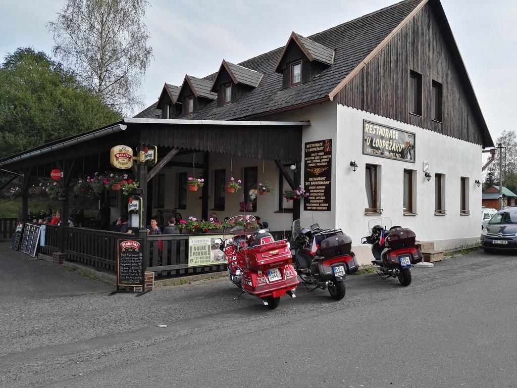 Hotel Pension U Loupezaku Jetřichovice Exterior foto