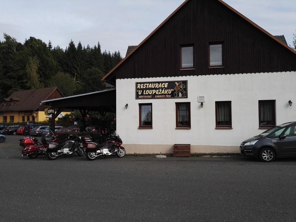 Hotel Pension U Loupezaku Jetřichovice Exterior foto